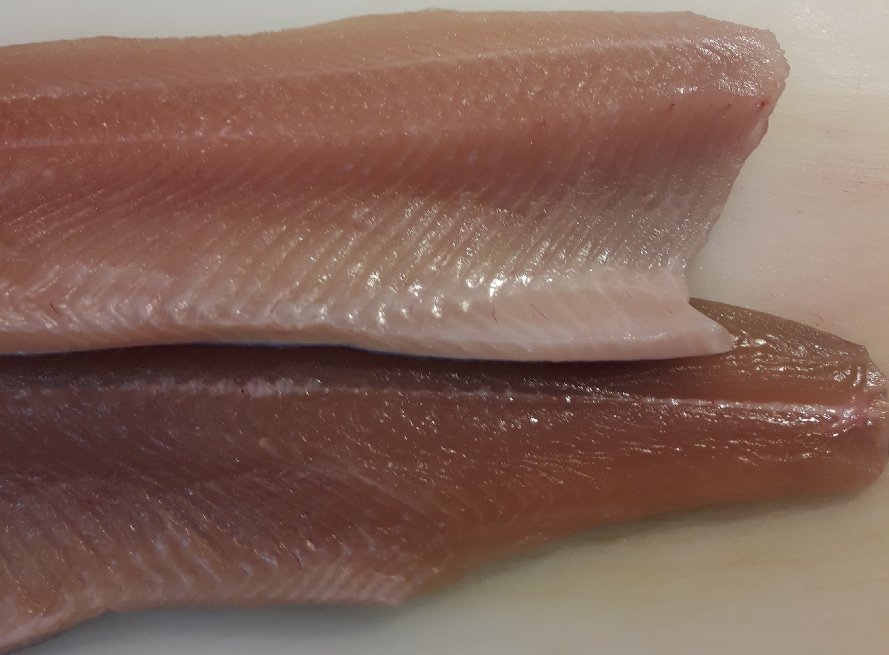 Fischzucht Impression